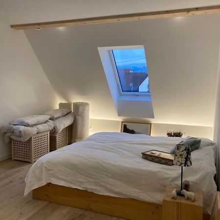 Апартаменты Neues Penthouse-Loft Mit Konuskarte Fuer Gratis Oepnv Ehrenkirchen Экстерьер фото