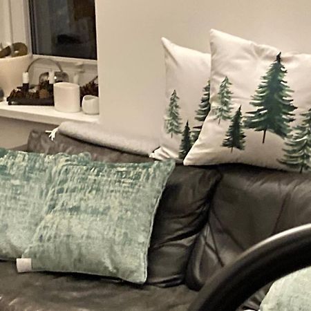 Апартаменты Neues Penthouse-Loft Mit Konuskarte Fuer Gratis Oepnv Ehrenkirchen Экстерьер фото