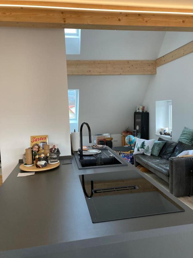 Апартаменты Neues Penthouse-Loft Mit Konuskarte Fuer Gratis Oepnv Ehrenkirchen Экстерьер фото
