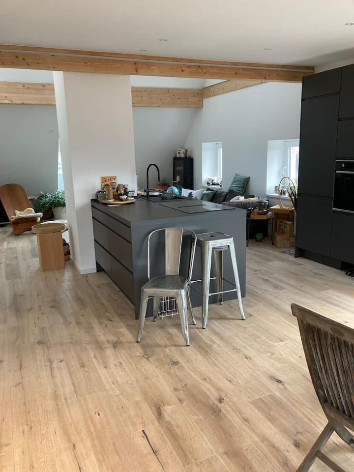 Апартаменты Neues Penthouse-Loft Mit Konuskarte Fuer Gratis Oepnv Ehrenkirchen Экстерьер фото