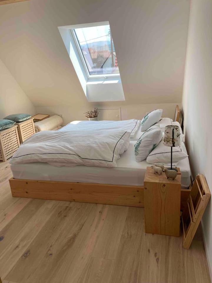 Апартаменты Neues Penthouse-Loft Mit Konuskarte Fuer Gratis Oepnv Ehrenkirchen Экстерьер фото